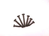 Threaded Black Cross Recessed Pan Head Tapping Screw Stainless Steel DIN7981 Painted Head