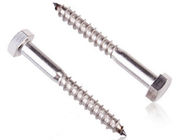 Hexagon Head Coach 316 Stainless Steel Lag Bolts Screw M10 In Construction Projects