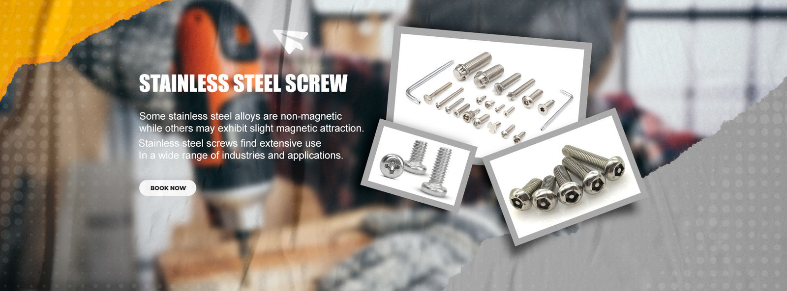 quality Stainless Steel Screws Service