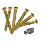 Low Profile Head  High Low Thread Window Concrete Fixing Screws In Anchor Bolts 50mm 60mm